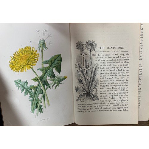 60 - Familiar Wild Flowers - First Series (Hulme) Cassel C. 1890's. Published by Cassell & Co, First ... 