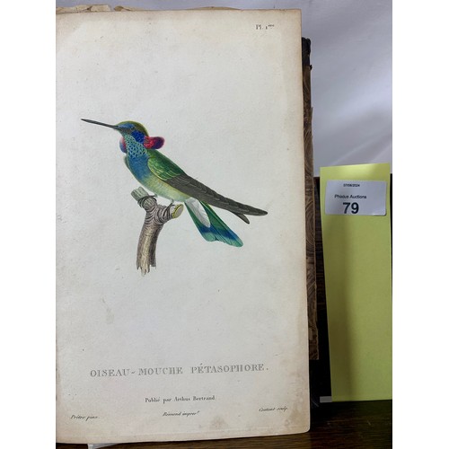 79 - LESSON, René-Primevère (1794-1849). Natural history of hummingbirds. Volume II. Paris: Arthus Bertra... 