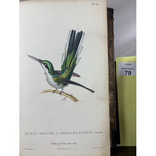 79 - LESSON, René-Primevère (1794-1849). Natural history of hummingbirds. Volume II. Paris: Arthus Bertra... 