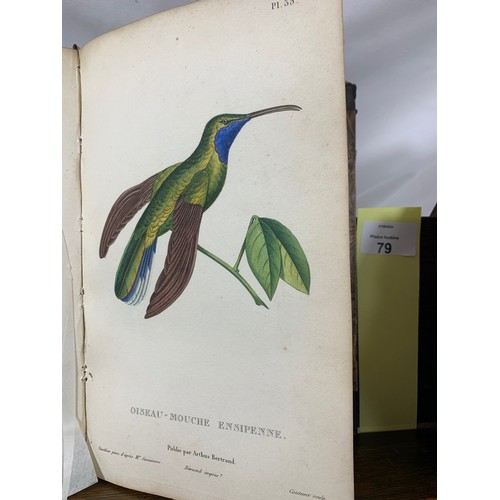 79 - LESSON, René-Primevère (1794-1849). Natural history of hummingbirds. Volume II. Paris: Arthus Bertra... 