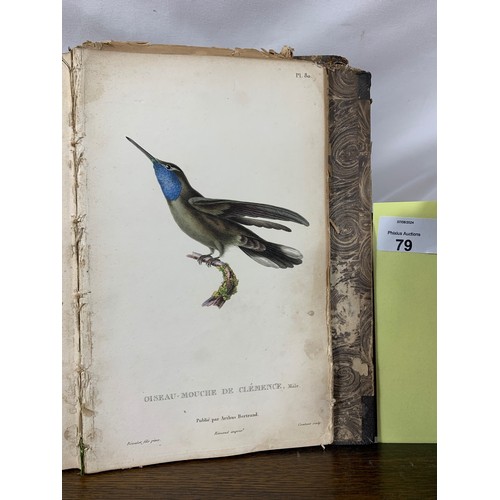 79 - LESSON, René-Primevère (1794-1849). Natural history of hummingbirds. Volume II. Paris: Arthus Bertra... 