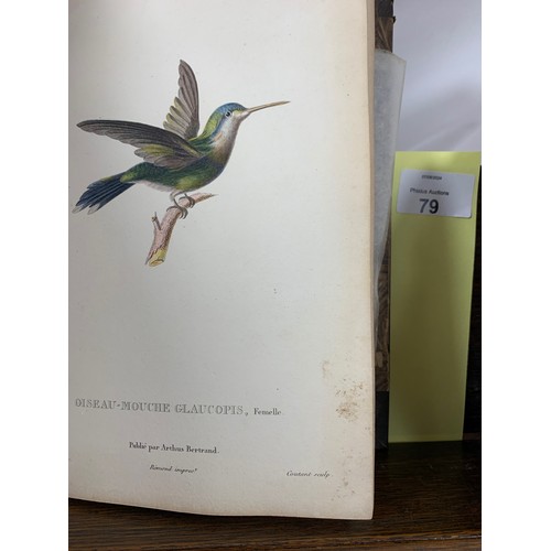 79 - LESSON, René-Primevère (1794-1849). Natural history of hummingbirds. Volume II. Paris: Arthus Bertra... 