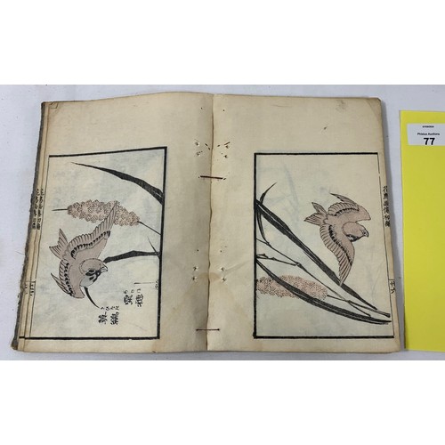 77 - Japanese collapsed book of Bird and Flower Paintings. C. 1880's - Katsushika Daito (?) Painter. Coll... 