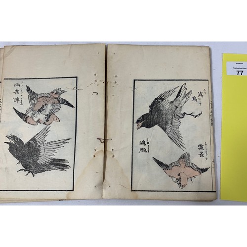 77 - Japanese collapsed book of Bird and Flower Paintings. C. 1880's - Katsushika Daito (?) Painter. Coll... 