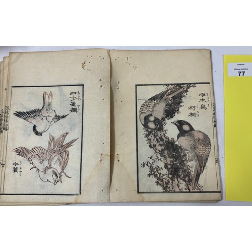 77 - Japanese collapsed book of Bird and Flower Paintings. C. 1880's - Katsushika Daito (?) Painter. Coll... 