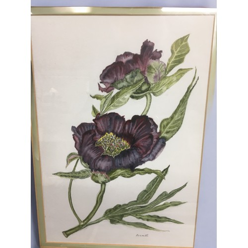 83 - 19th Century and Later Watercolours and Prints x 4.Largest is a 19th Century Italian by G. Pussino, ... 