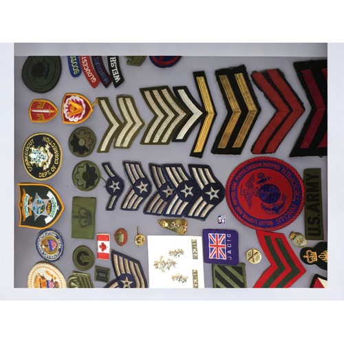 194 - Large Collection of WW2 and Later Military Badges, Buttons, Pins, Cap Badges. British and American. ... 