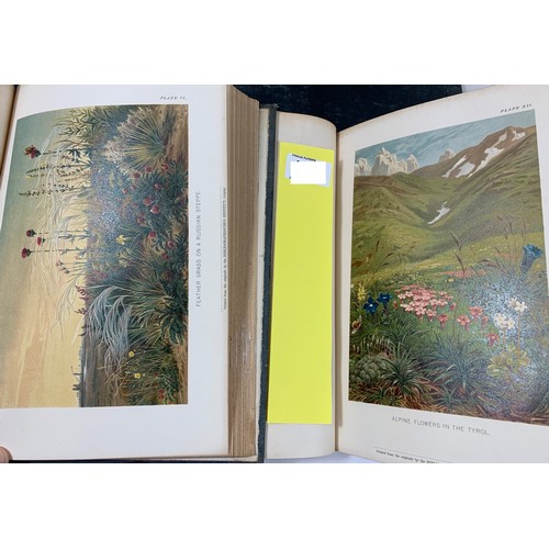 224 - The Natural History of Plants (4 Vols - 1894 & 1895)_ English translation by F W Oliver. Well il... 