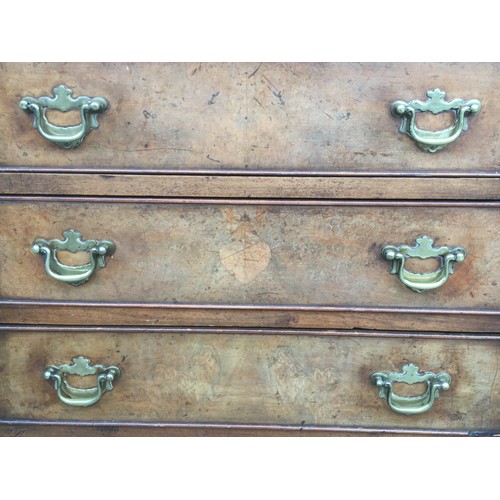 68 - Late 19th early 20th Century Mahogany veneered Sideboard in the Georgian taste. Brass Fittings with ... 