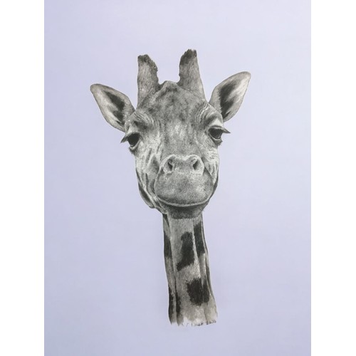 84 - 5 x Etchings/Prints some of which are signed, good decorative collection to include a Giraffe!