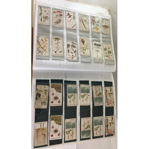 572 - Large Folio of Cigarette Cards - 51 Double sided sleeved pages all full, approximately 1000+ cards. ... 