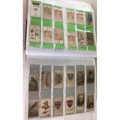 572 - Large Folio of Cigarette Cards - 51 Double sided sleeved pages all full, approximately 1000+ cards. ... 