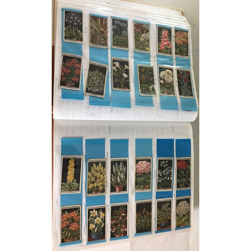 572 - Large Folio of Cigarette Cards - 51 Double sided sleeved pages all full, approximately 1000+ cards. ... 