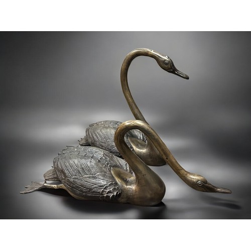 162A - A large Pair of bronze garden Swans.Largest - 60 x 63cm