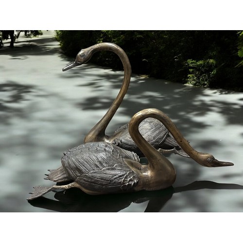 162A - A large Pair of bronze garden Swans.Largest - 60 x 63cm