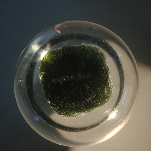 69 - Caithness Paperweight North Sea Ltd edition 279/1000 and a Lucite Paperweight.