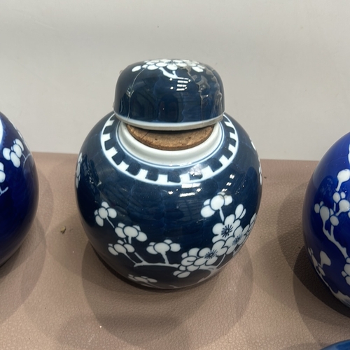 80 - Large collection of 8 Chinese porcelain Ginger jars with lids. One still has Ginger. Qing and later