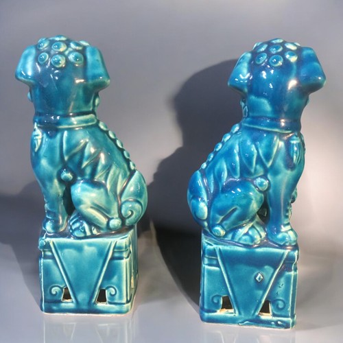 120 - Vintage Pair of Ceramic Turquoise Glazed Foo Dogs.H 20cm