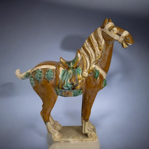 146 - A Chinese Tang style horse.Sancai glaze.Height- 30cm