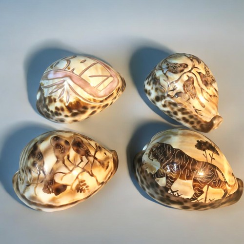 56 - 4 Vintage Carved Cowrie Shells.