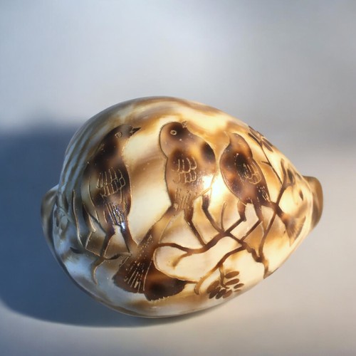 56 - 4 Vintage Carved Cowrie Shells.