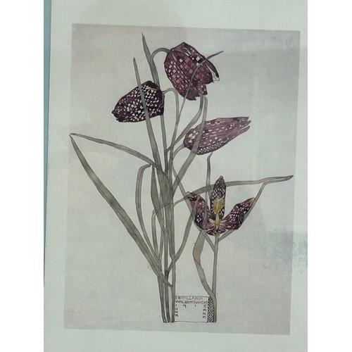 350 - Set of 4 Charles Rennie Mackintosh - Walberswick 1914/15 flower prints