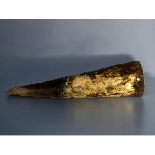 286 - Antique Cow Horn Whestone holder.French, 19th century.Length - 25cm