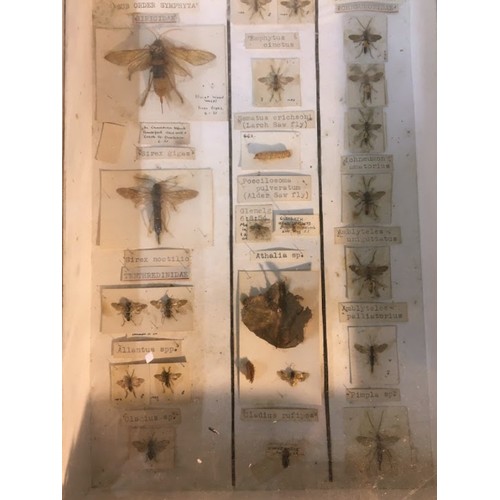 96 - An Early 20th Century and Later Entomology Collection. 6 Cases in Total.