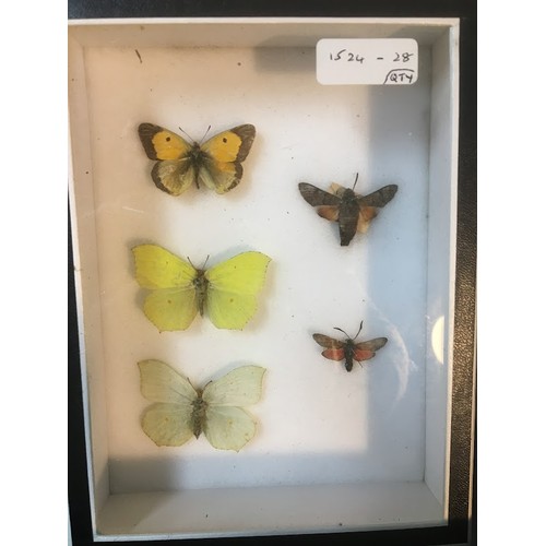 96 - An Early 20th Century and Later Entomology Collection. 6 Cases in Total.