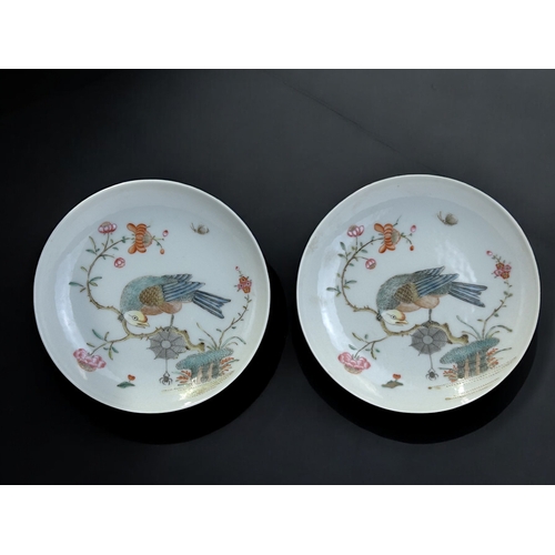 110 - A pair of Chinese Famille rose dishes.Finely painted with perched birds above a spiders web. Diamete... 