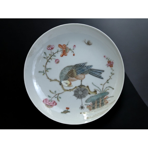 110 - A pair of Chinese Famille rose dishes.Finely painted with perched birds above a spiders web. Diamete... 