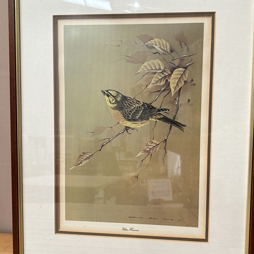 195 - Pair of framed bird prints by artist Terance Bond from 1974, showcasing 