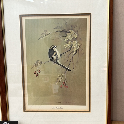 195 - Pair of framed bird prints by artist Terance Bond from 1974, showcasing 