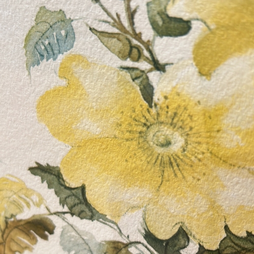 176 - Pair of watercolor floral prints, each featuring delicate yellow blossoms. Signed by J. Blake artist... 