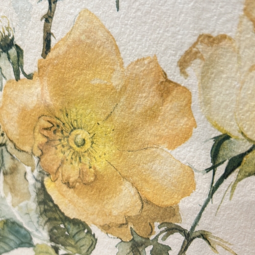 176 - Pair of watercolor floral prints, each featuring delicate yellow blossoms. Signed by J. Blake artist... 