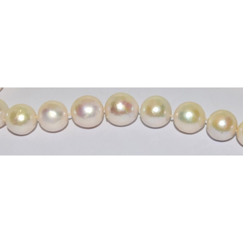 380 - Real large 12mm to 15mm cultured Pearl necklace 