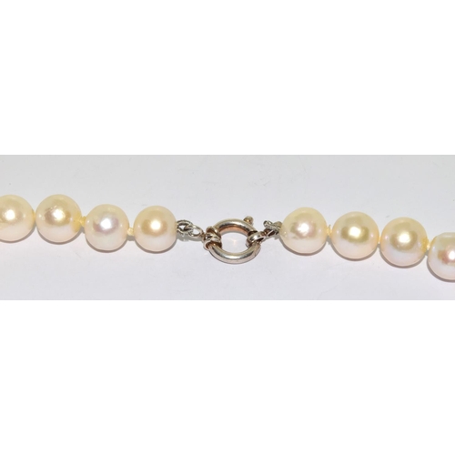 380 - Real large 12mm to 15mm cultured Pearl necklace 