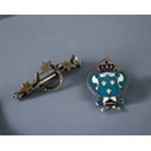 265 - Two antique sterling silver brooches. Includes an enamel  and Horse shoe examples.