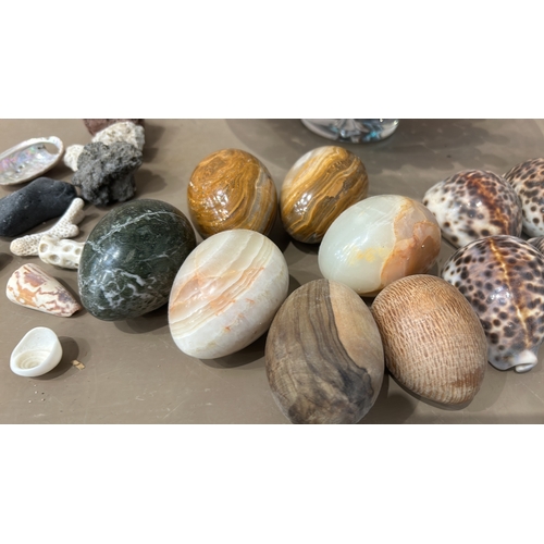 161 - Collection of natural seashells and stones, showcasing various textures and colors. Includes cowrie ... 