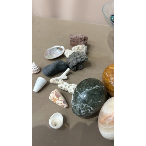 161 - Collection of natural seashells and stones, showcasing various textures and colors. Includes cowrie ... 