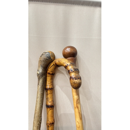 46 - Pair of vintage wooden walking sticks with curved handles. Includes a Gamebird brand shooting stick ... 