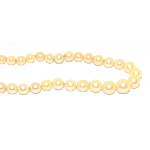 47 - String of Antique graduated cultured pearls 