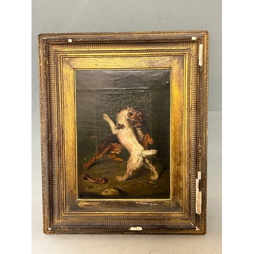 174 - A Georgian Oil on Canvas. Depicting Dogs fighting over a bone. 37.5 x 31cm (incl frame). Provenance:... 