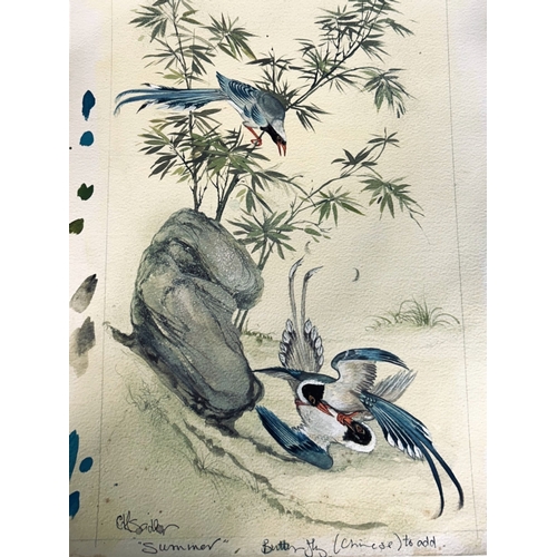 175 - A set of four antique watercolour artist sketches. Depicting 'Chinese' birds. Signed CH Sadler. Unfr... 