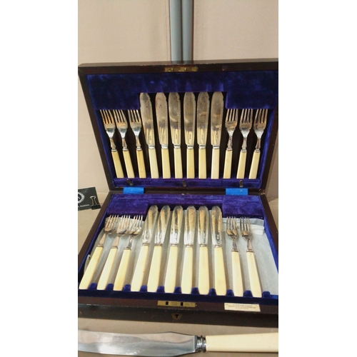 28 - Early 20th-century cutlery set with cream bakelite handles, presented in a velvet-lined wooden box.