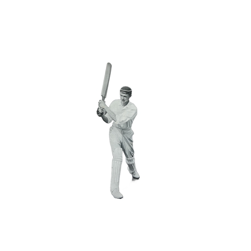 69 - Early 20th-century cricket photograph featuring C.L. Townsend, elegantly framed.