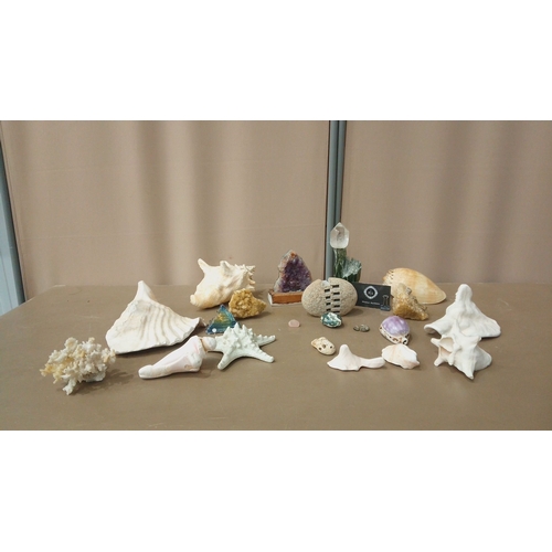 35 - Diverse decorative lot featuring seashells, coral pieces, amethyst geode, crystal points, and a colo... 