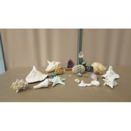 35 - Diverse decorative lot featuring seashells, coral pieces, amethyst geode, crystal points, and a colo... 