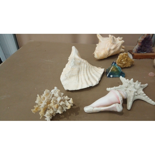 35 - Diverse decorative lot featuring seashells, coral pieces, amethyst geode, crystal points, and a colo... 