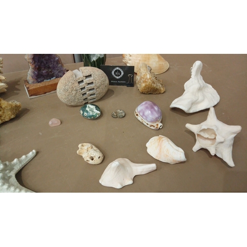 35 - Diverse decorative lot featuring seashells, coral pieces, amethyst geode, crystal points, and a colo... 